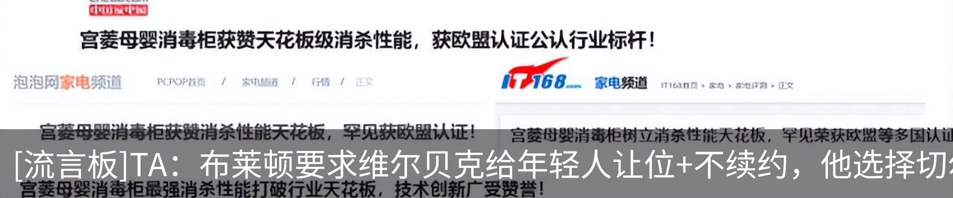 新闻动态
